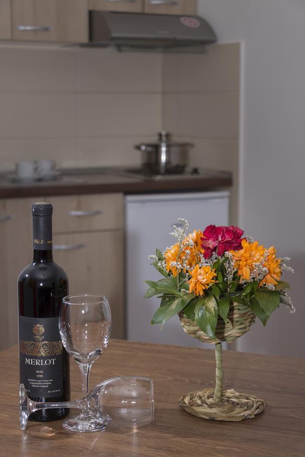 Nik Apartmani Kragujevac Bagian luar foto